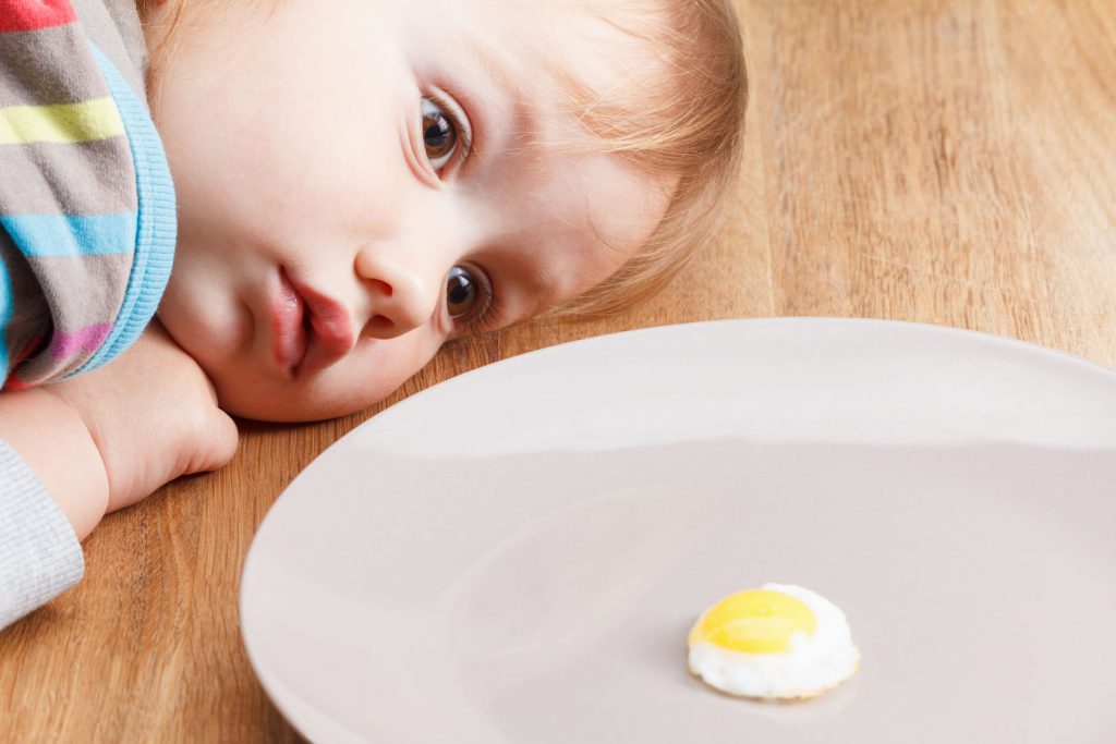 56353101 - caucasian child looking at a small breakfast omelette